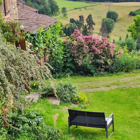 Eco-Gite Cottage Panoramique, Terrasses, Baby Foot, 150 M2 Renove Et Agrandi En 2024, Activites Proposees Champagnac-le-Vieux 외부 사진