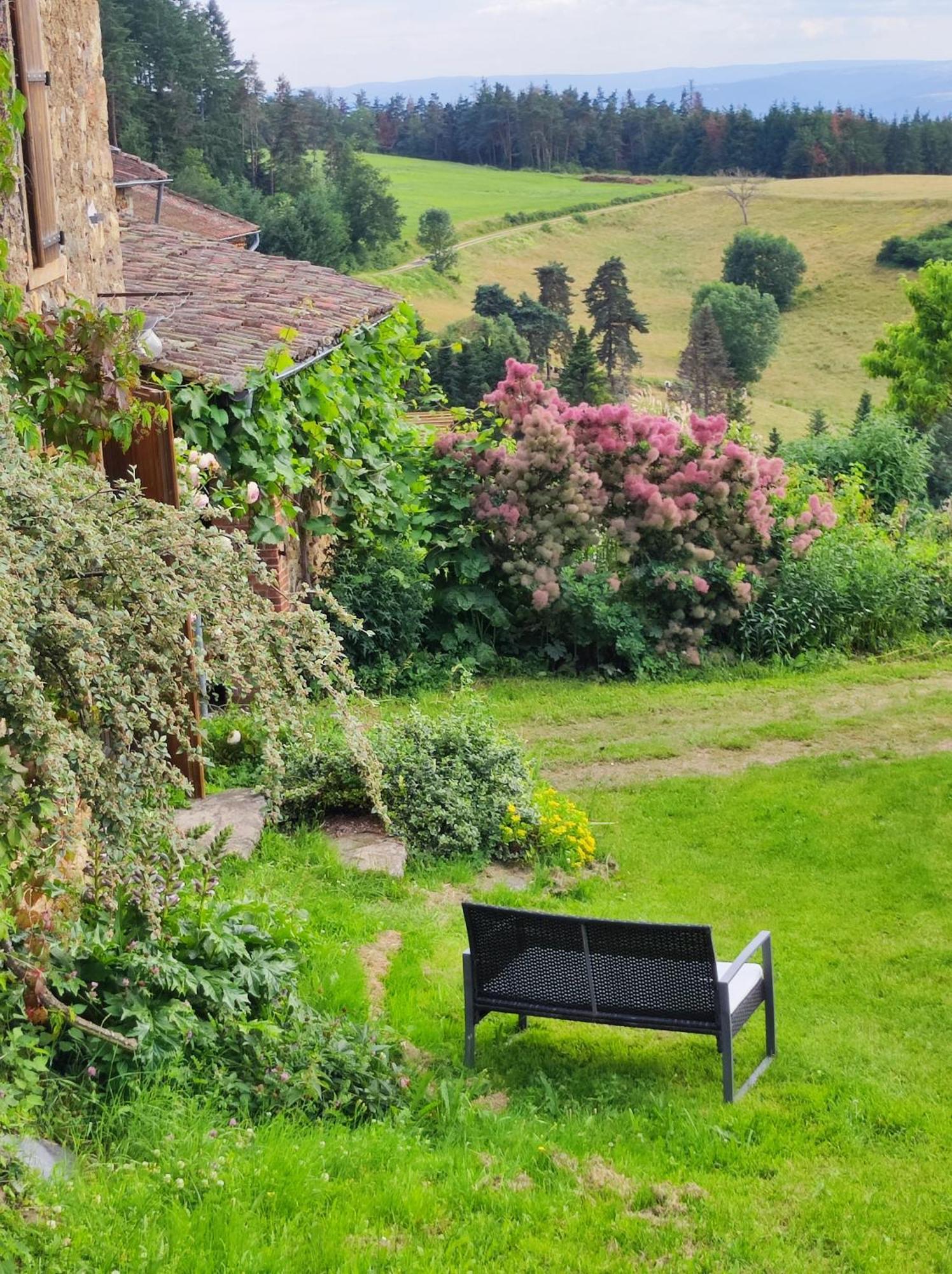 Eco-Gite Cottage Panoramique, Terrasses, Baby Foot, 150 M2 Renove Et Agrandi En 2024, Activites Proposees Champagnac-le-Vieux 외부 사진